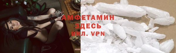 СК Алексин