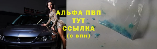 СК Алексин
