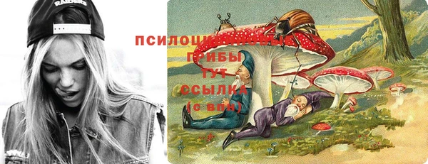 apvp Алексеевка