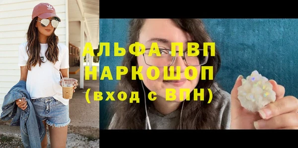 СК Алексин