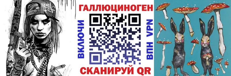 Купить закладки  Ясногорск  Галлюциногенные грибы Cubensis 